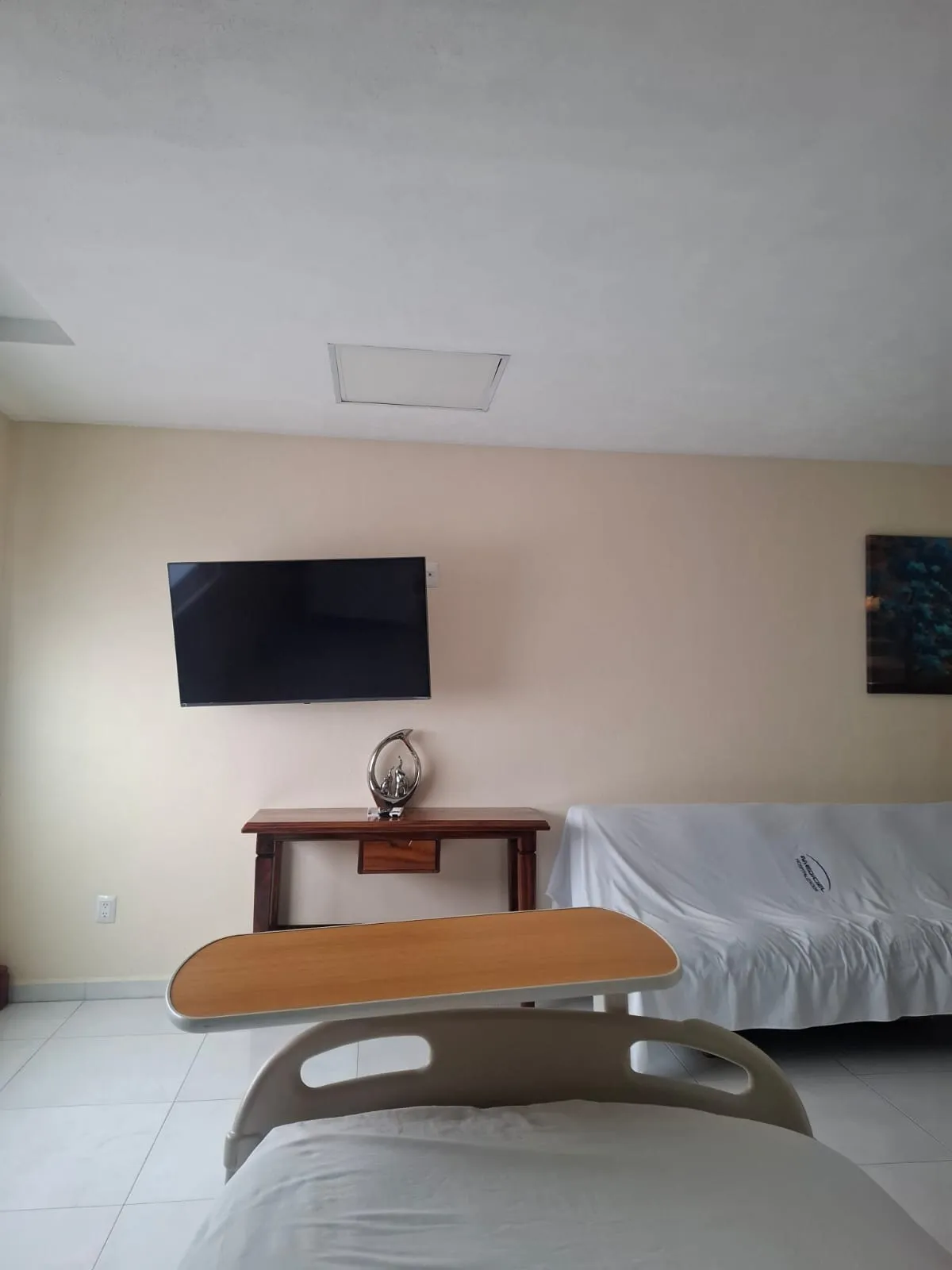 Suite de hospitalización con cama clínica, televisión en la pared y sofá cama.